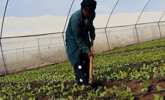 El Niño y las tensiones geopolíticas amenazan los mercados alimentarios mundiales
